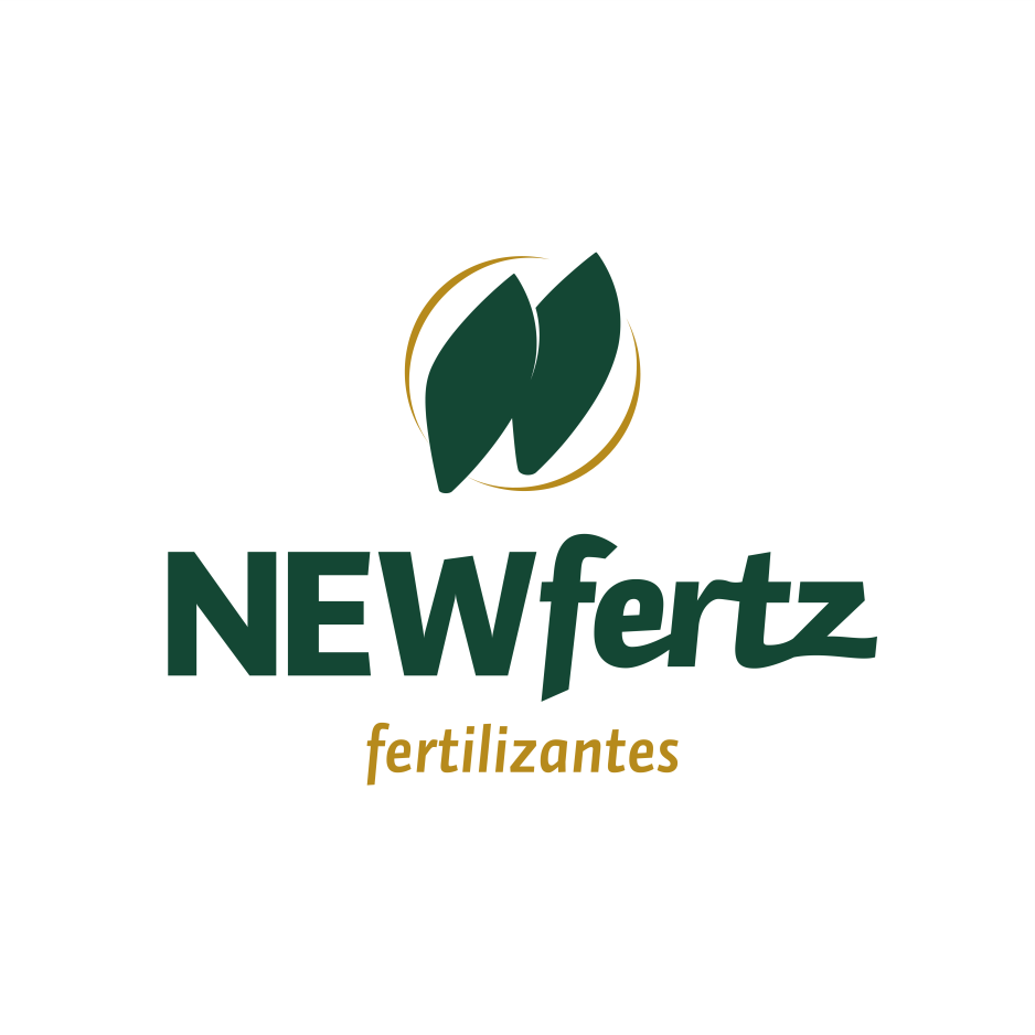 Cliente 6
